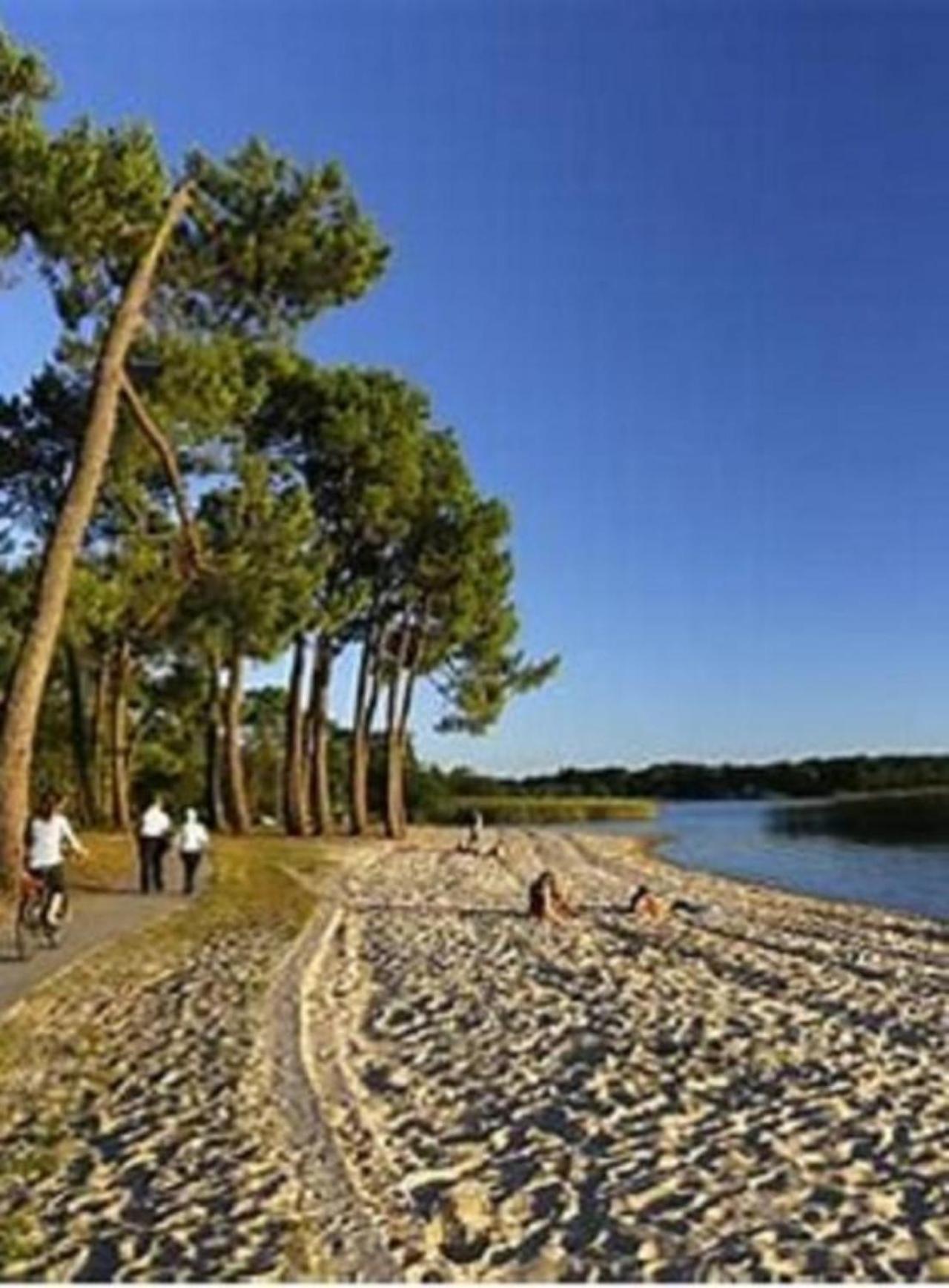 Agreable Maison A 400M Du Lac Vila Sanguinet Exterior foto